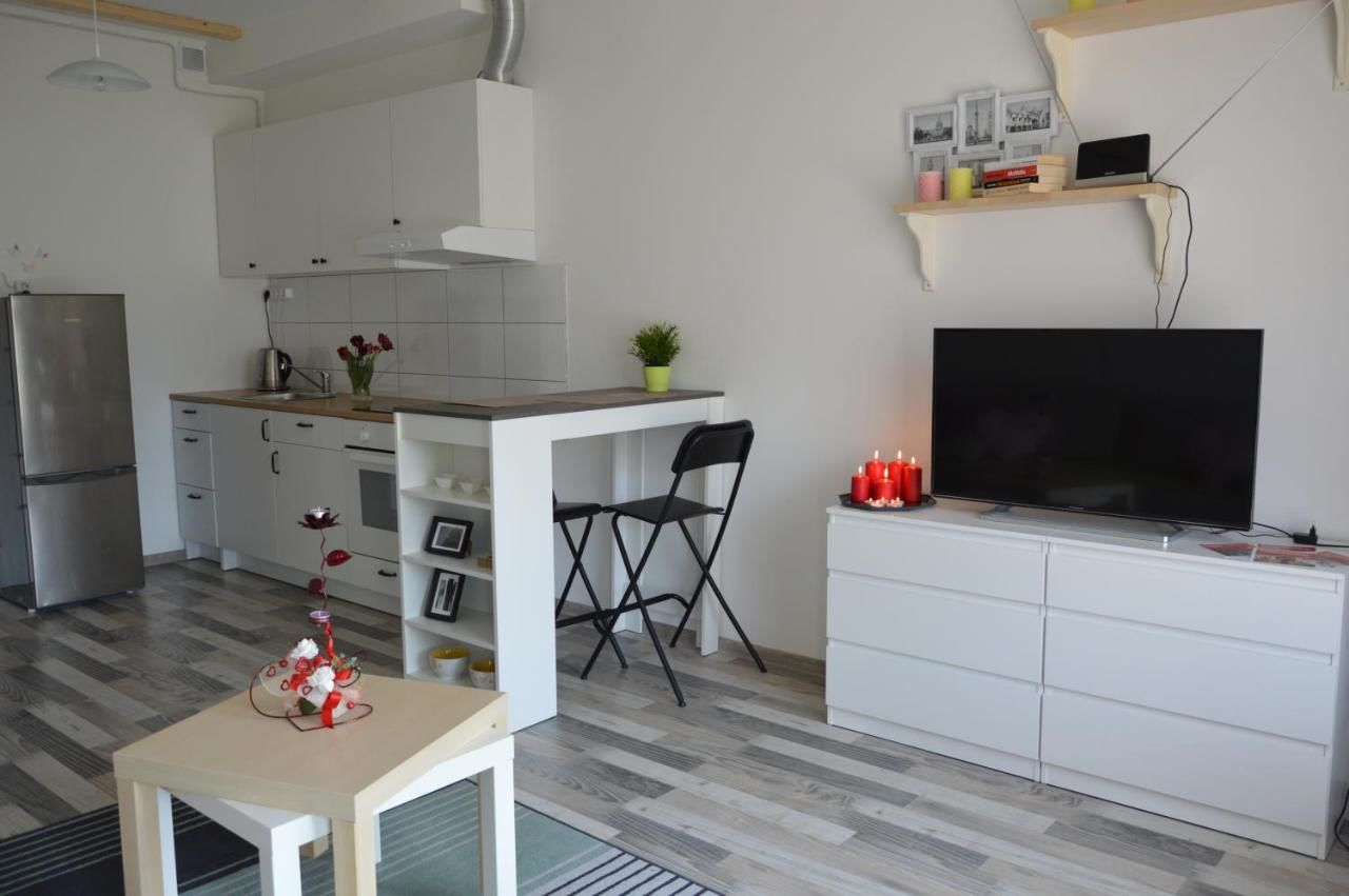 Апартаменты Cozy apartments, close to park and airport Вильнюс-7