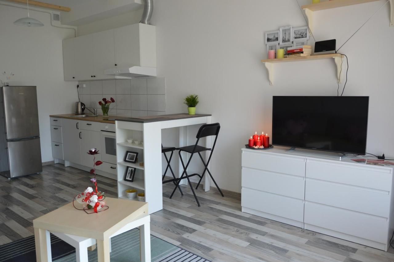 Апартаменты Cozy apartments, close to park and airport Вильнюс