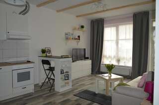 Апартаменты Cozy apartments, close to park and airport Вильнюс-1