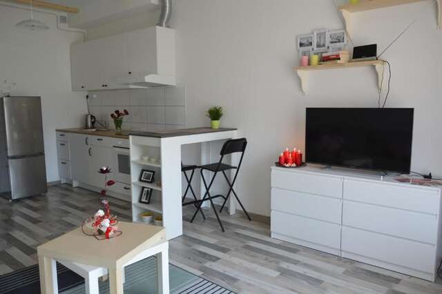Апартаменты Cozy apartments, close to park and airport Вильнюс-33
