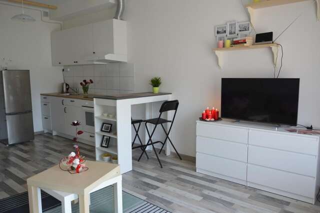Апартаменты Cozy apartments, close to park and airport Вильнюс-6